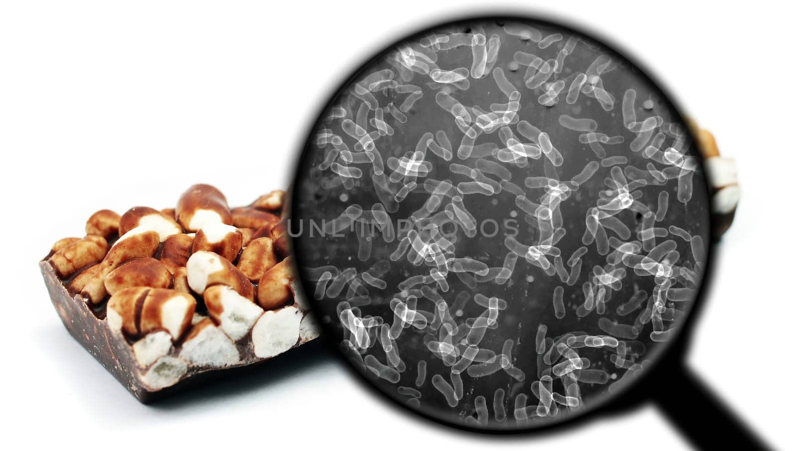 Searching for bacteria in sweets,Searching for bacteria in sweets
