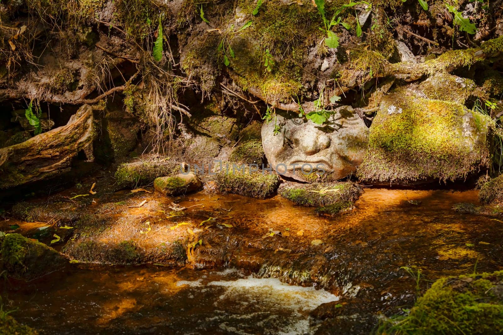 The face of a stone mermen on the bank of a stream