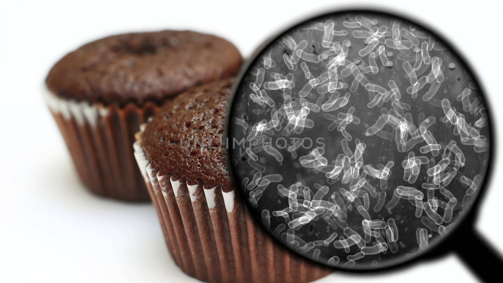 Searching for bacteria in sweets,Searching for bacteria in sweets