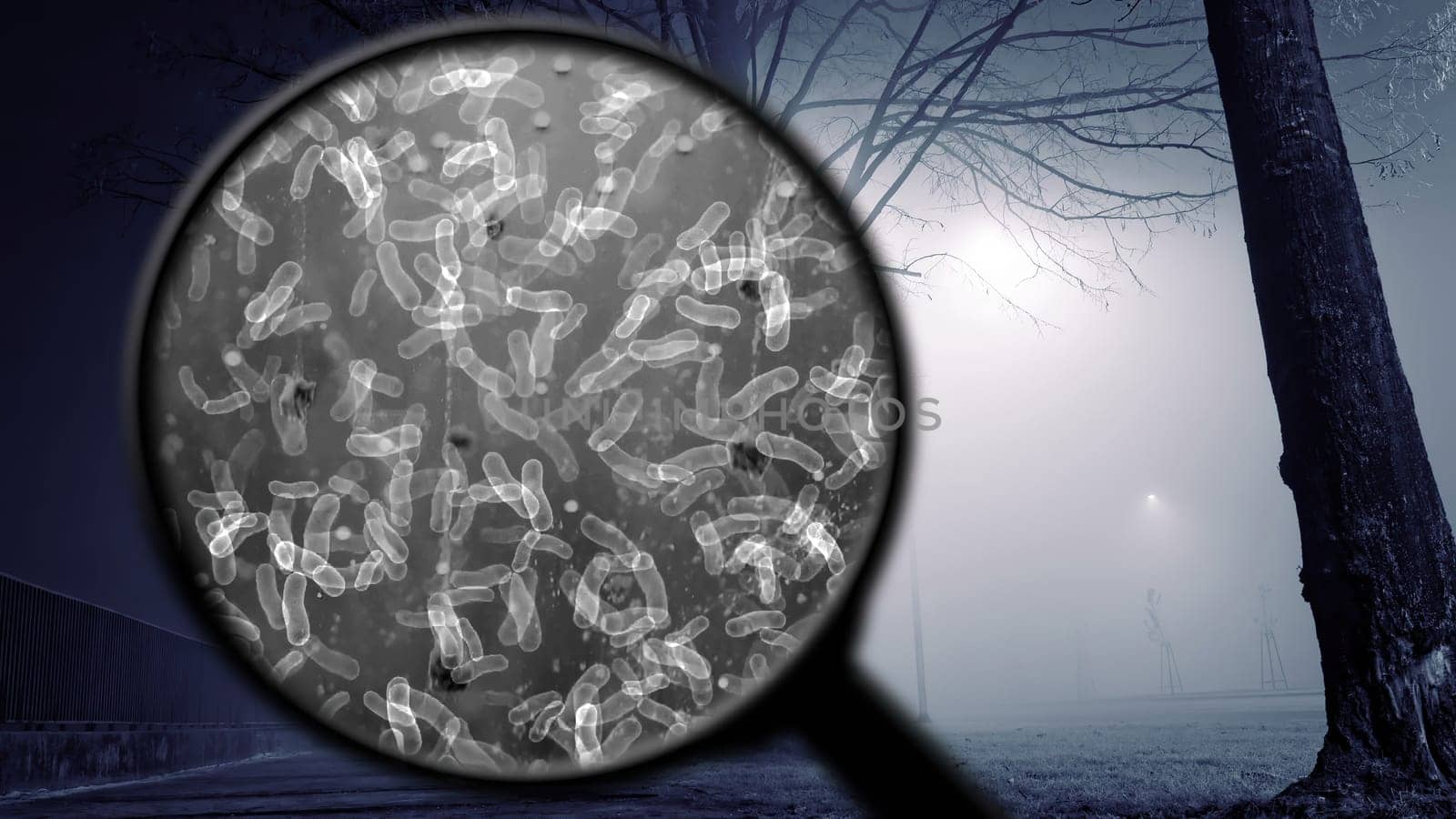 Searching for bacteria in the air,Searching for bacteria in the air