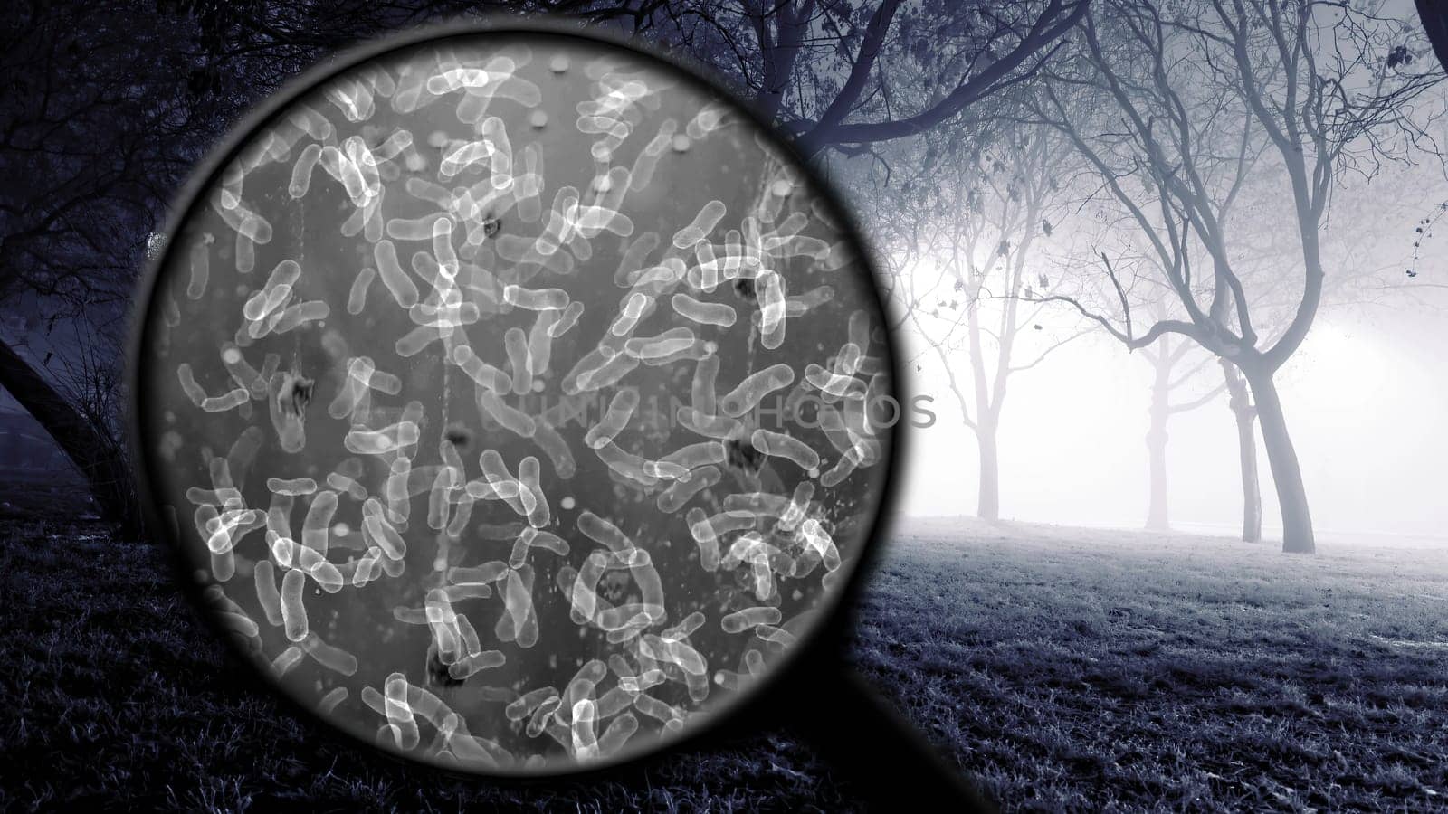 Searching for bacteria in the air,Searching for bacteria in the air
