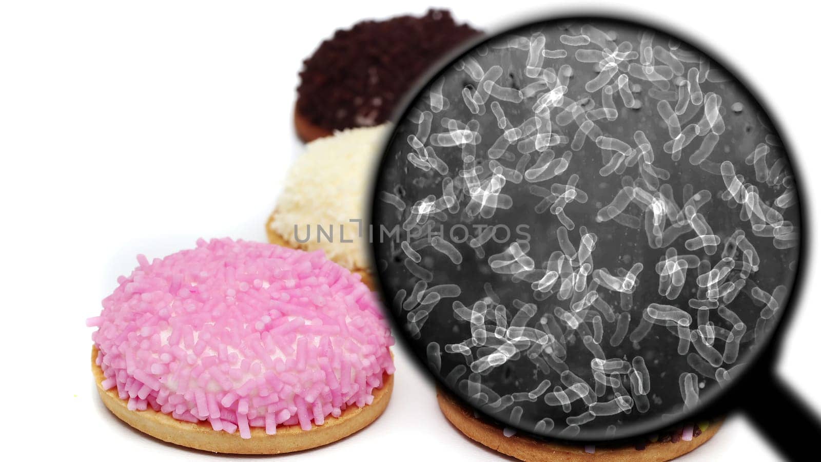 Searching for bacteria in sweets,Searching for bacteria in sweets