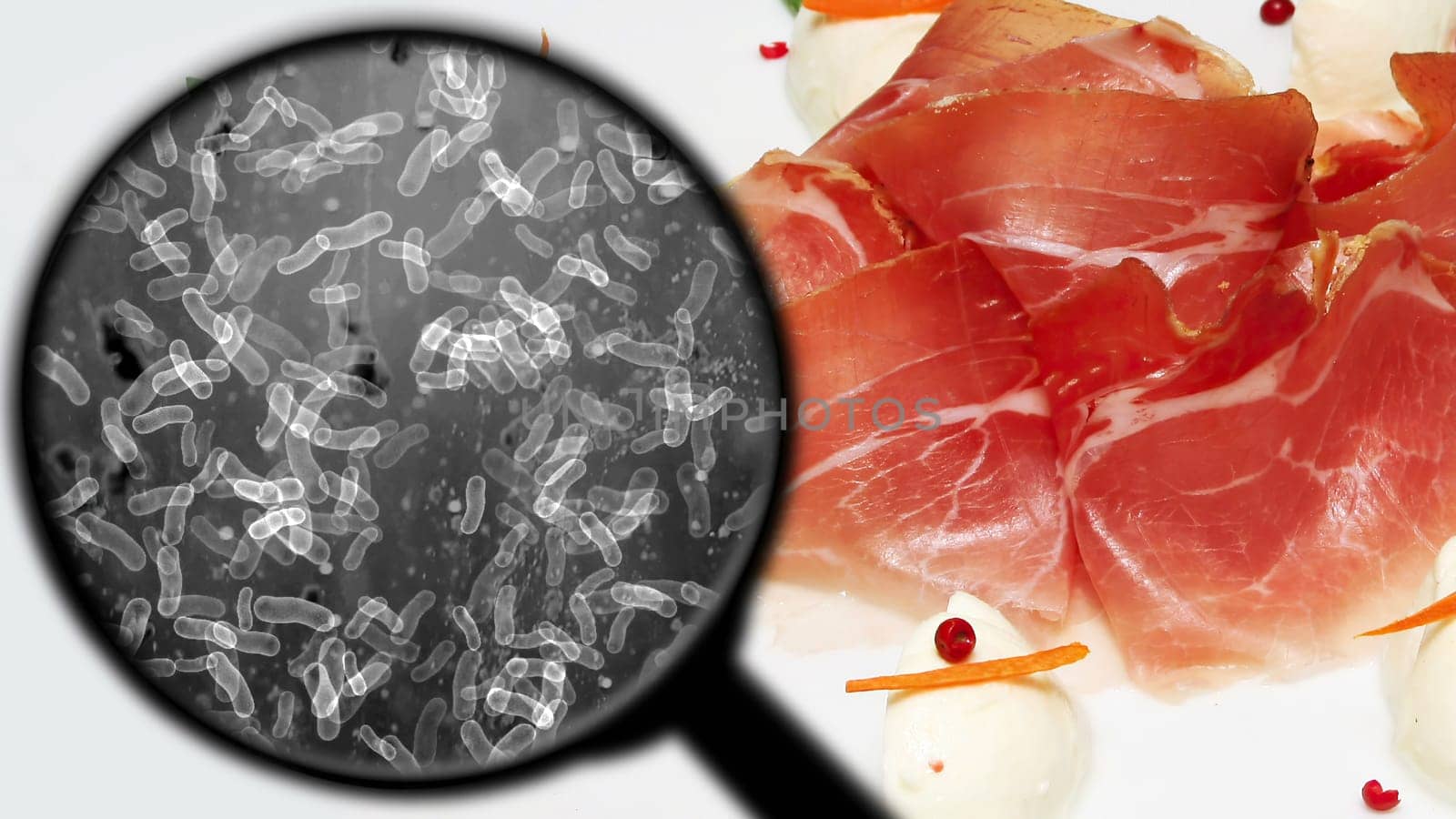 Searching for bacteria in meat,Searching for bacteria in meat