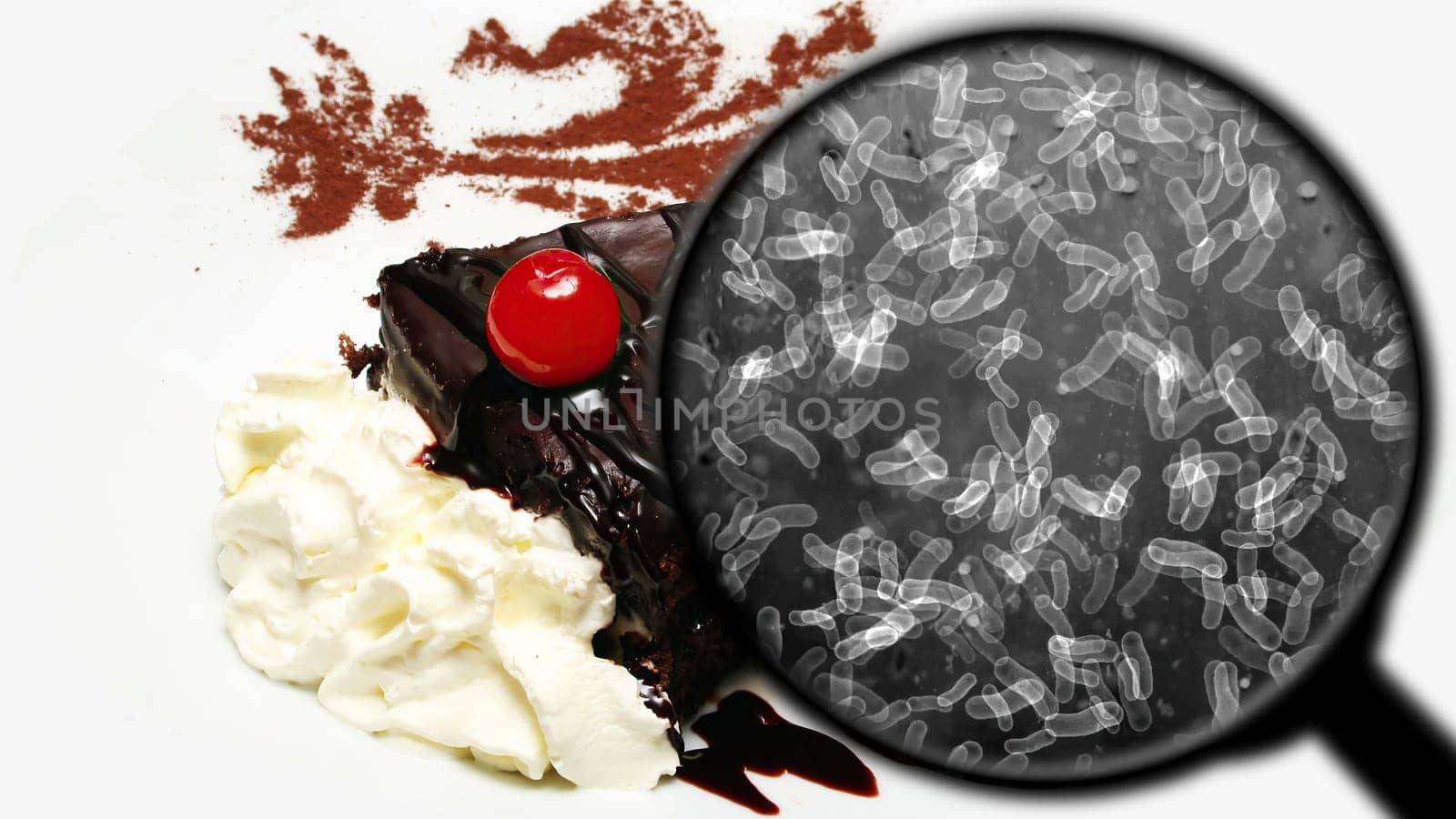 Searching for bacteria in sweets,Searching for bacteria in sweets