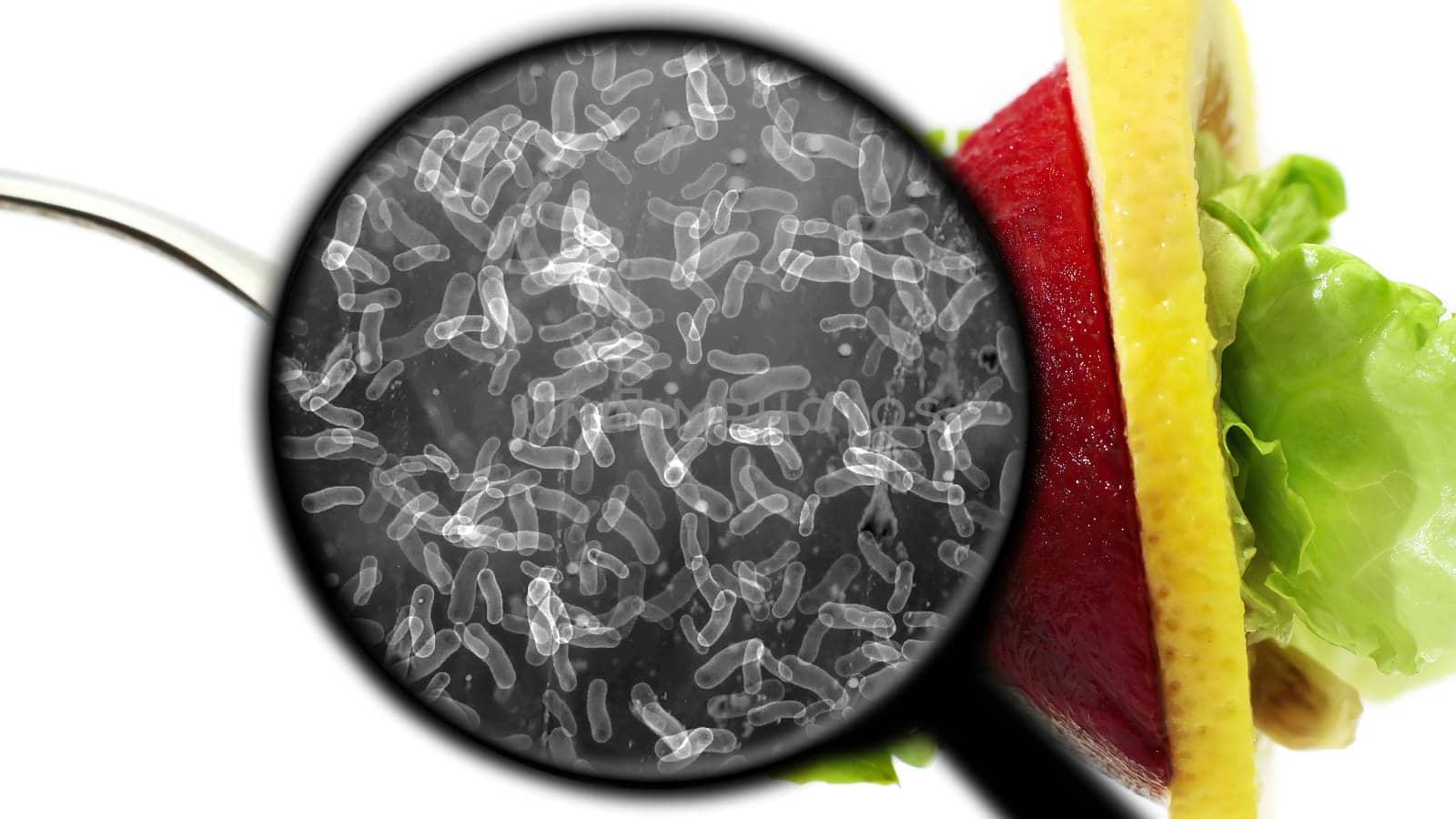 Searching for bacteria in vegetables,Searching for bacteria in vegetables