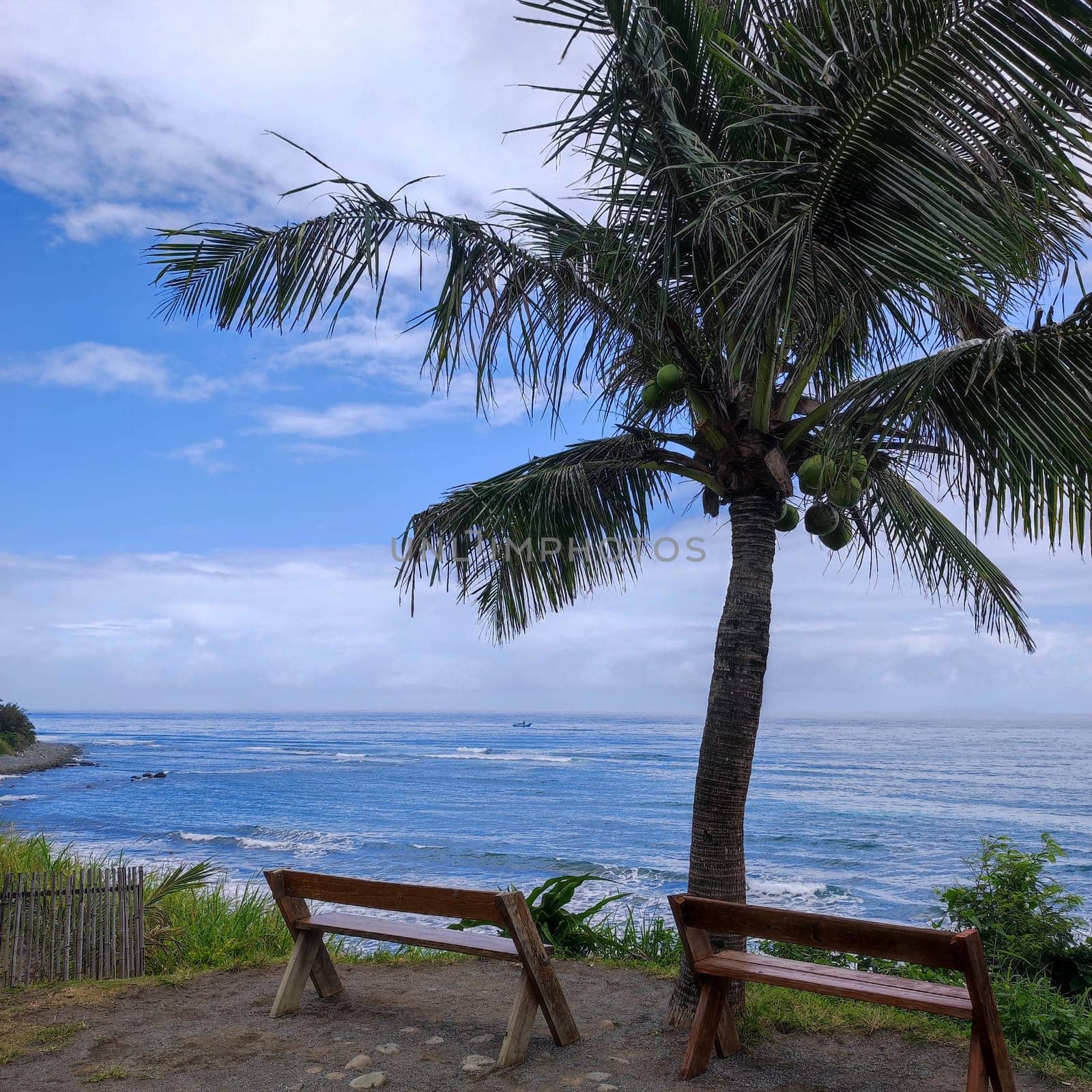 The Cape Coffee, Taitung, overlooking the beautiful coastline of Taitung, Taiwan