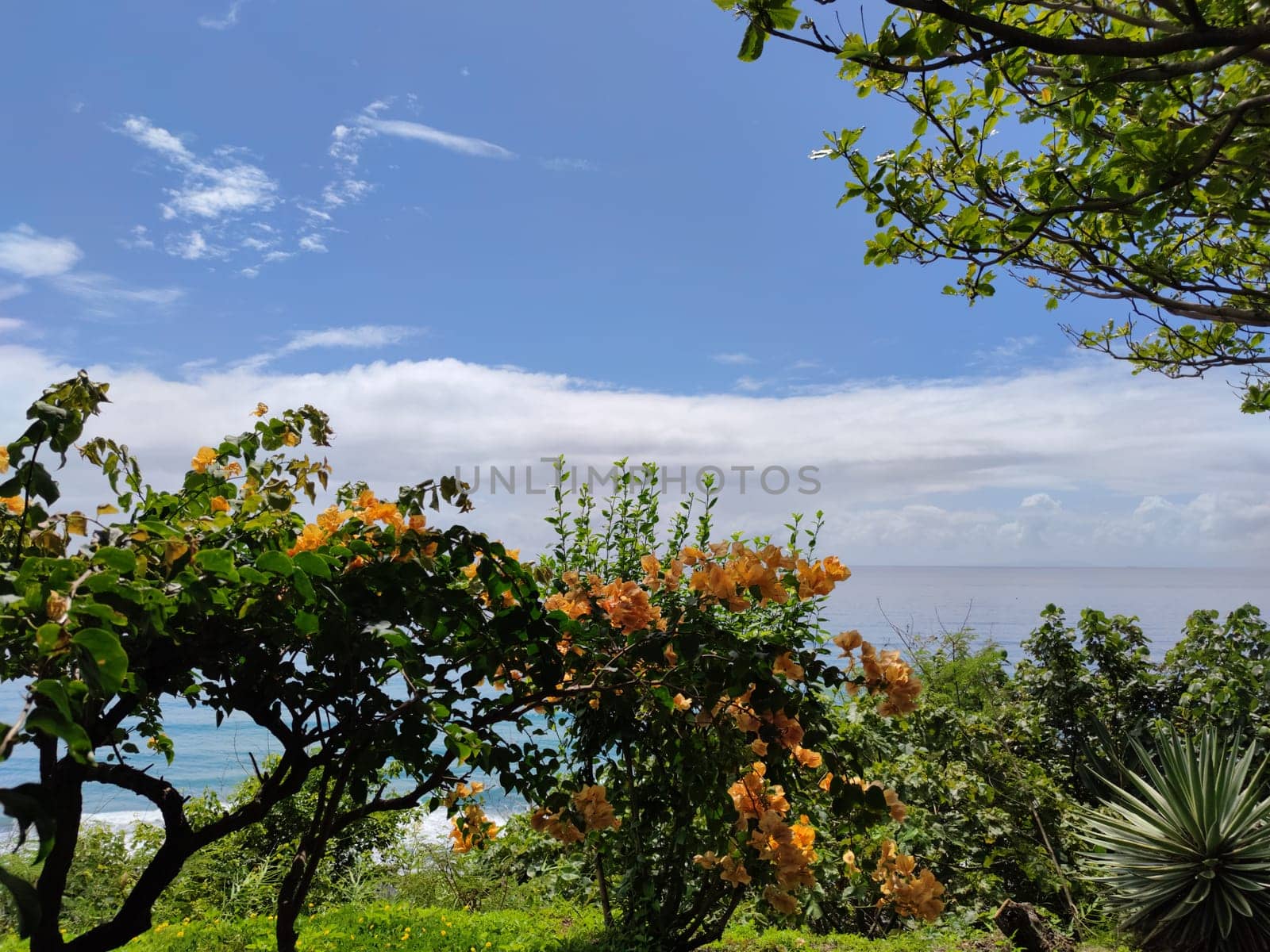 The Jinzun, Donghe Township, Taitung County, overlooking the beautiful coastline of Taitung, Taiwan