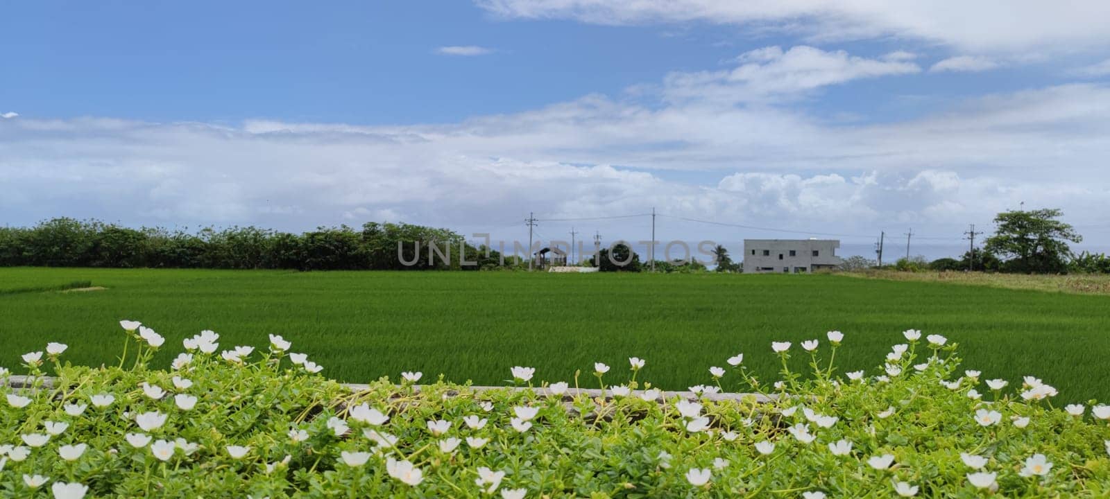 The Dulan Sea Viewing Platform, Taitung, enjoy the beautiful coastline of Taitung