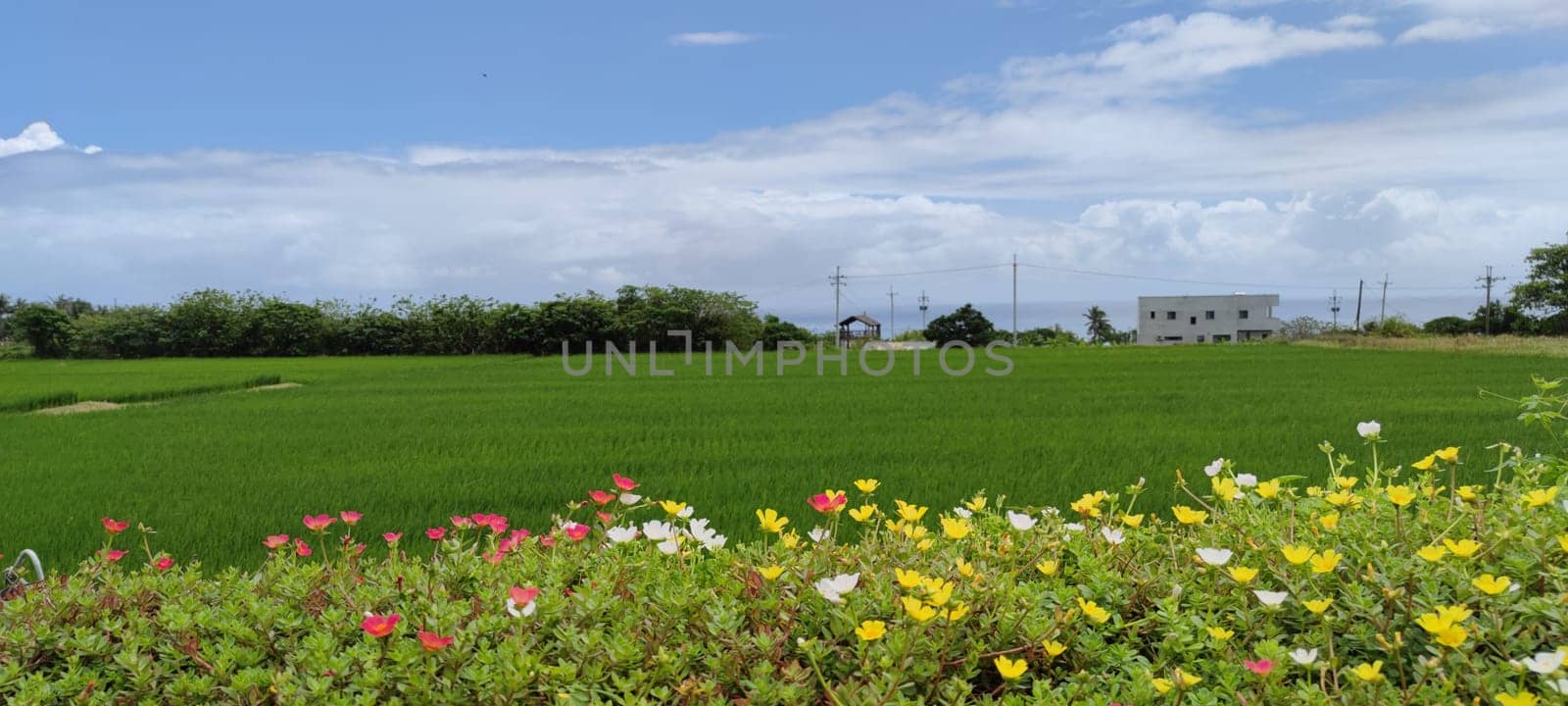 The Dulan Sea Viewing Platform, Taitung, enjoy the beautiful coastline of Taitung