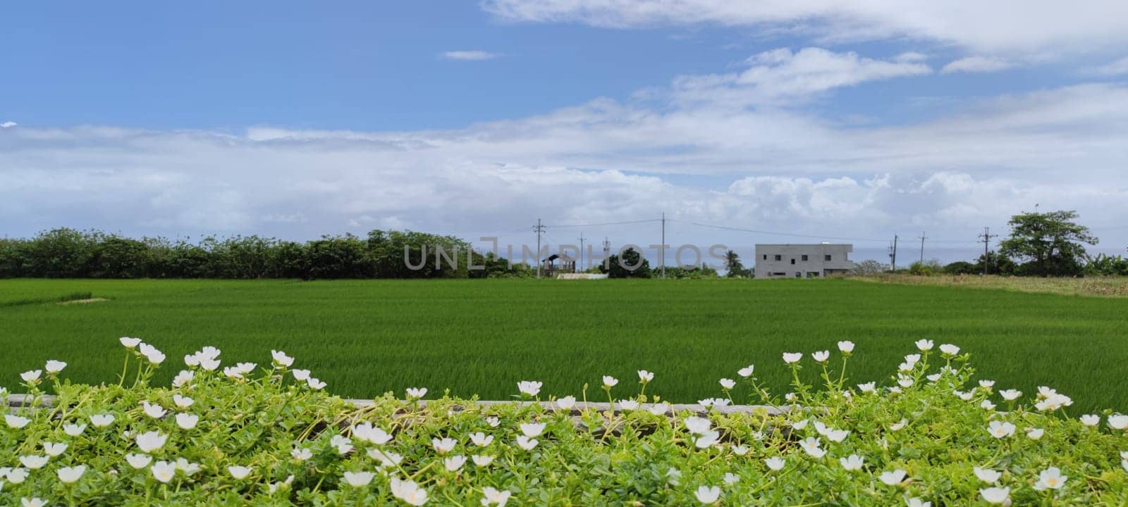 The Dulan Sea Viewing Platform, Taitung, enjoy the beautiful coastline of Taitung