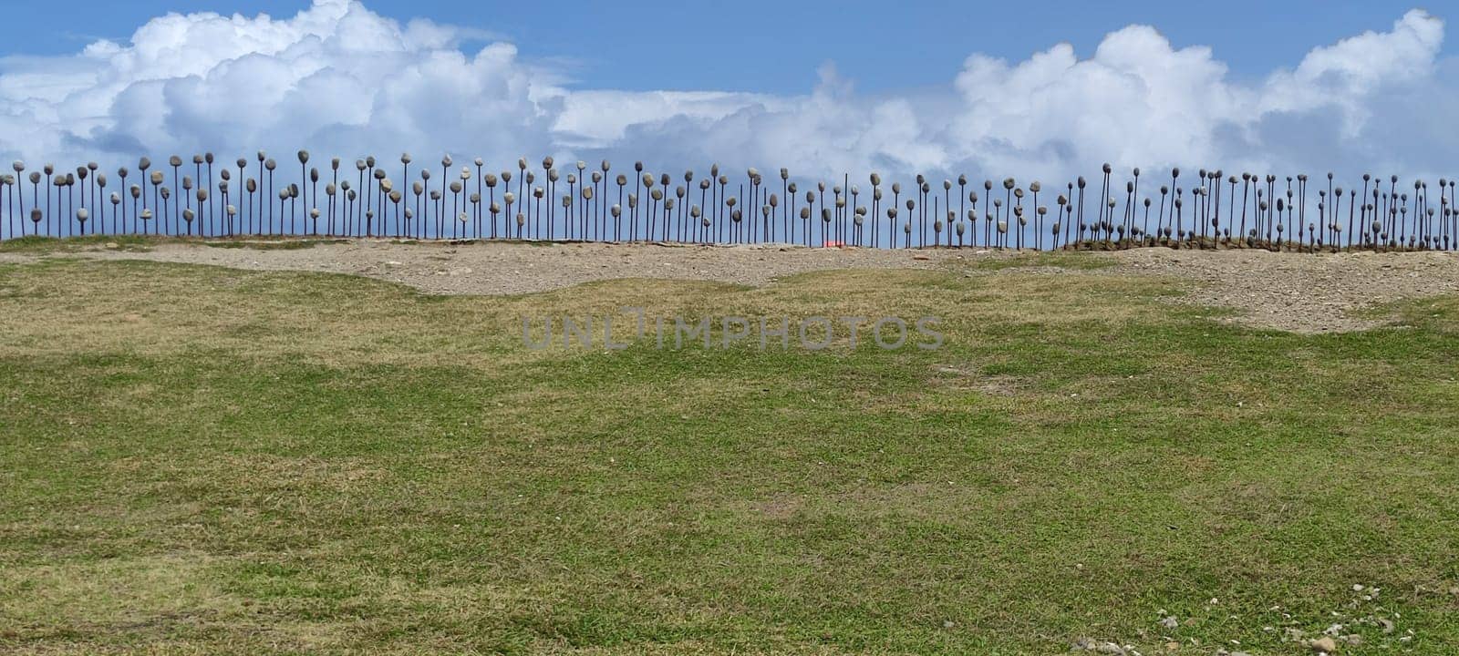 The Jialulan Recreation Area, Taitung enjoys the beautiful coastline of Taitung