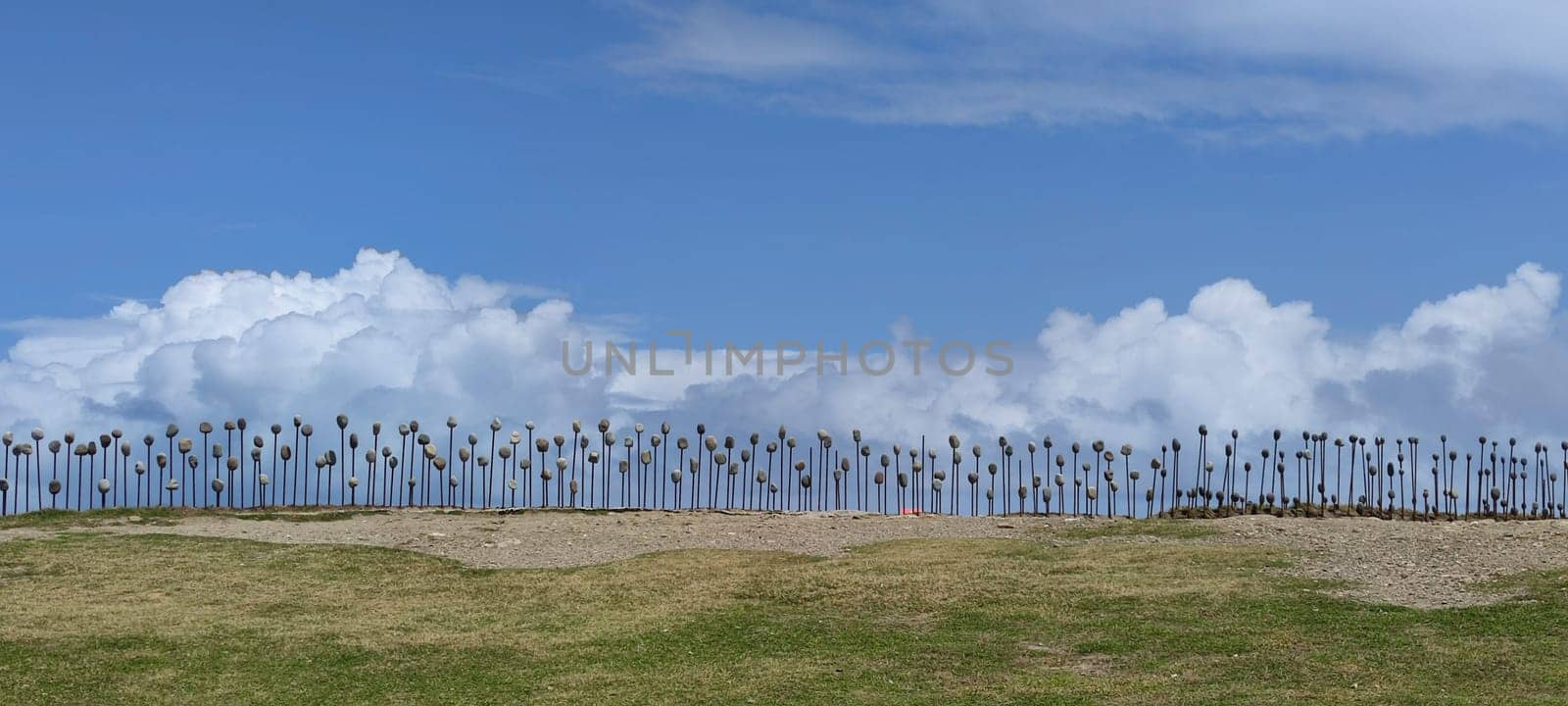 The Jialulan Recreation Area, Taitung enjoys the beautiful coastline of Taitung