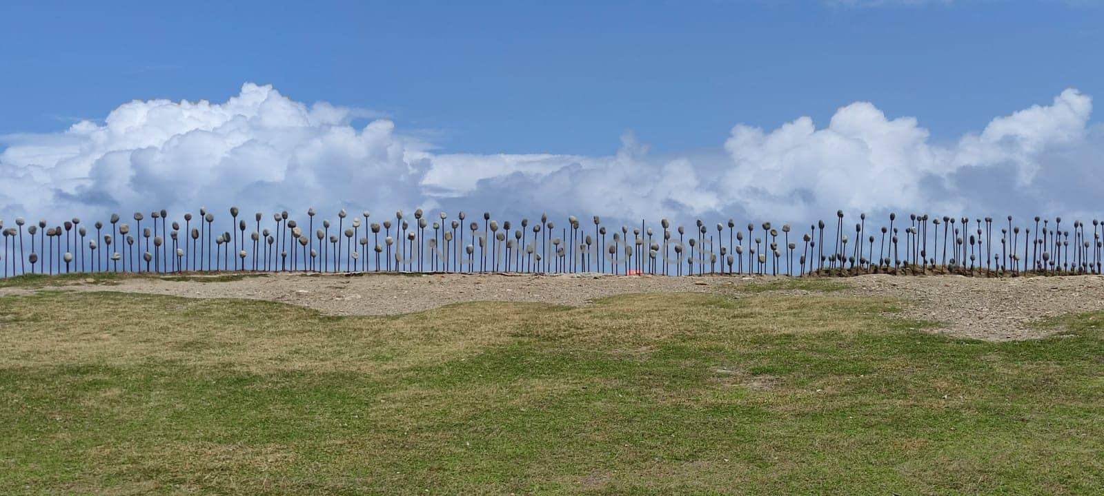 The Jialulan Recreation Area, Taitung enjoys the beautiful coastline of Taitung