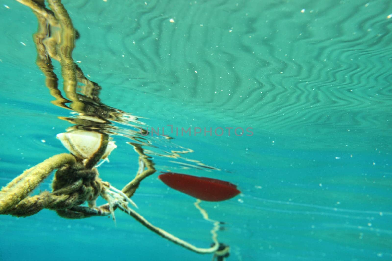 Underwater photo, old buoy and rope, distorted by water refraction, waves on surface creates wavy pattern. Abstract marine background with space for text on the right.