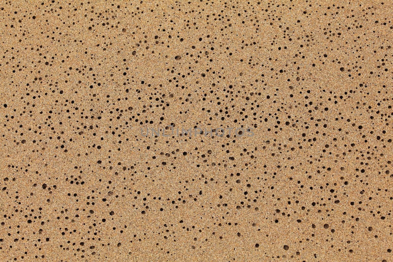 Wet sand on the beach, drying water left tiny holes. Abstract marine nature background.