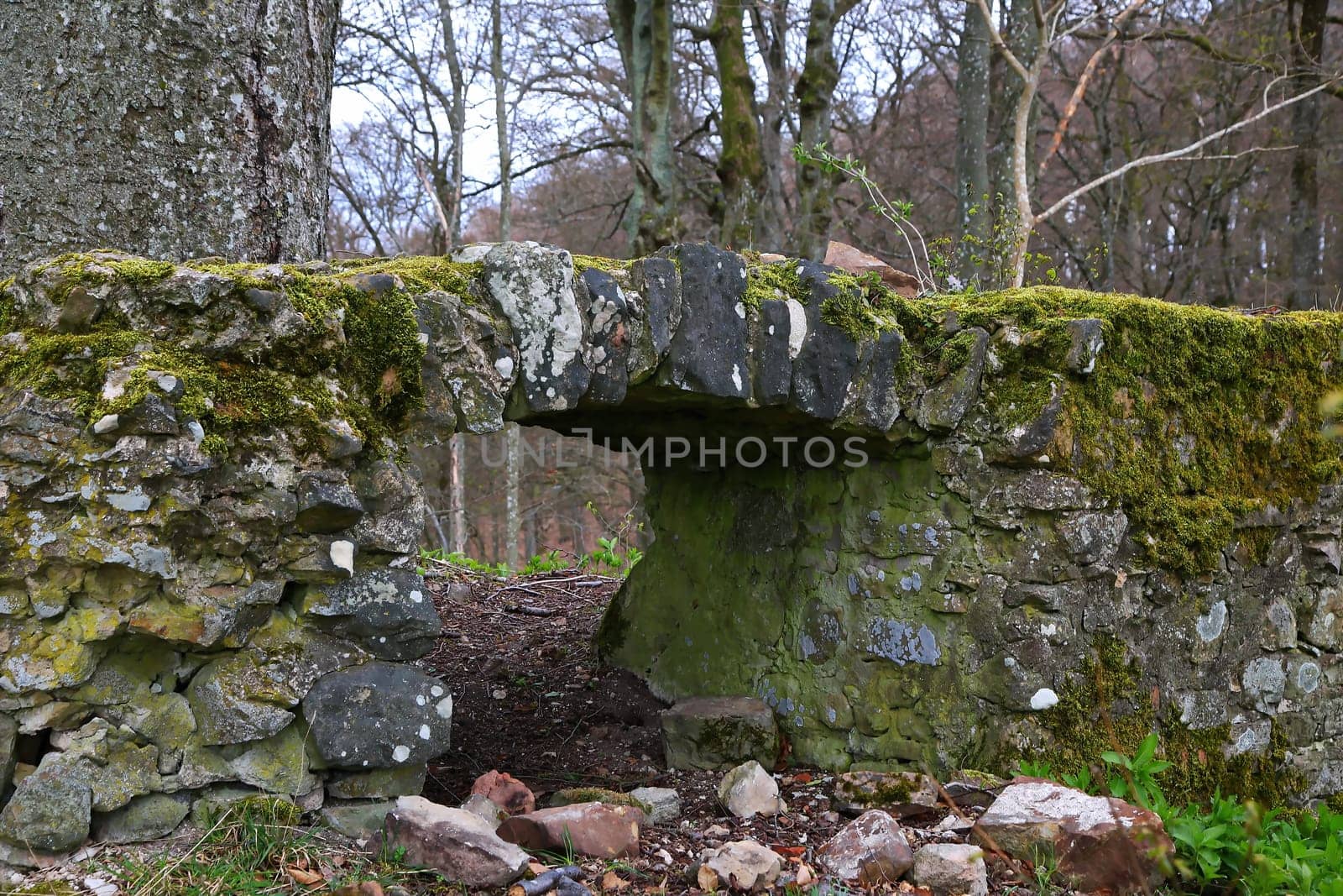 The Wildenberg castle ruins are a sight in the Sulzfeld municipality