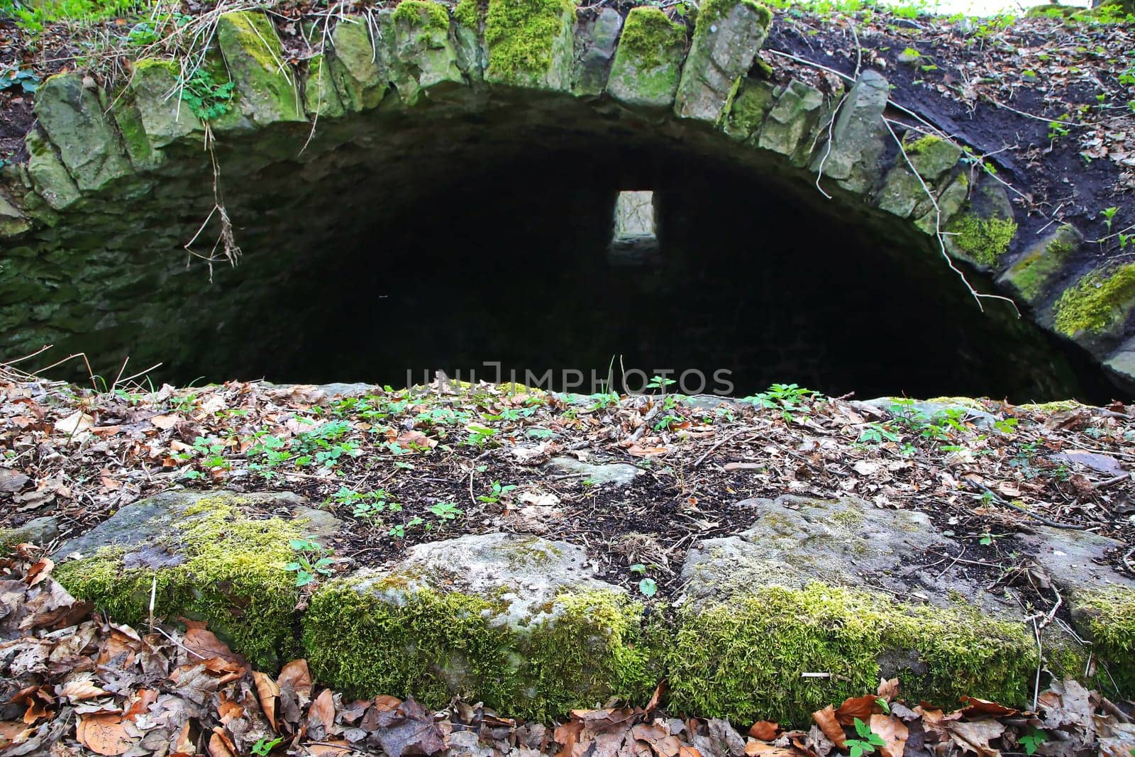 The Wildenberg castle ruins are a sight in the Sulzfeld municipality