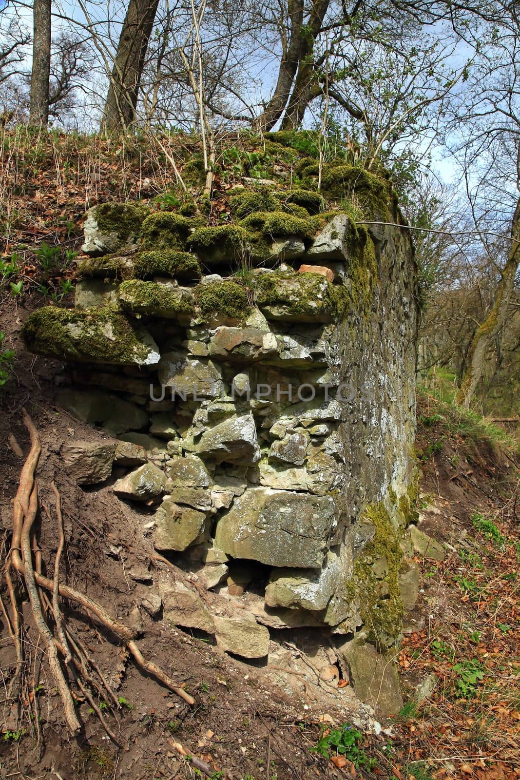 The Wildenberg castle ruins are a sight in the Sulzfeld municipality