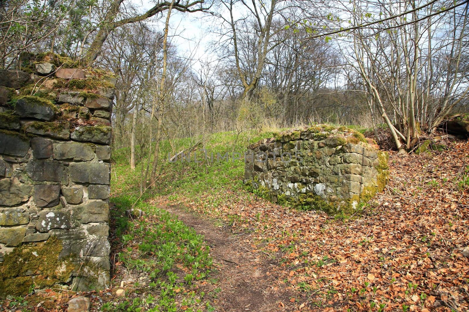 The Wildenberg castle ruins are a sight in the Sulzfeld municipality