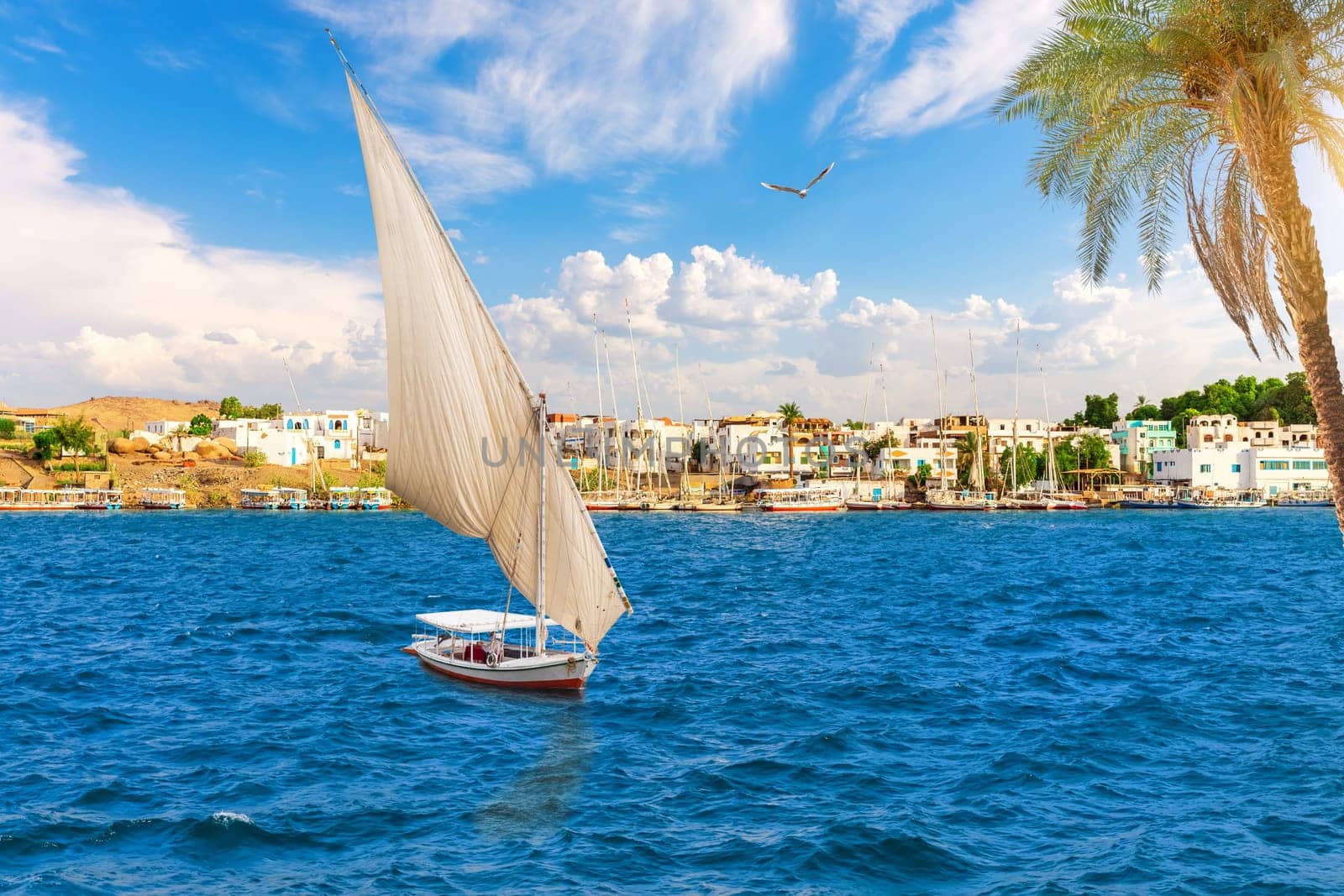 Sailboats in the Nile in front of Traditional buildings, Asuan, Egypt.