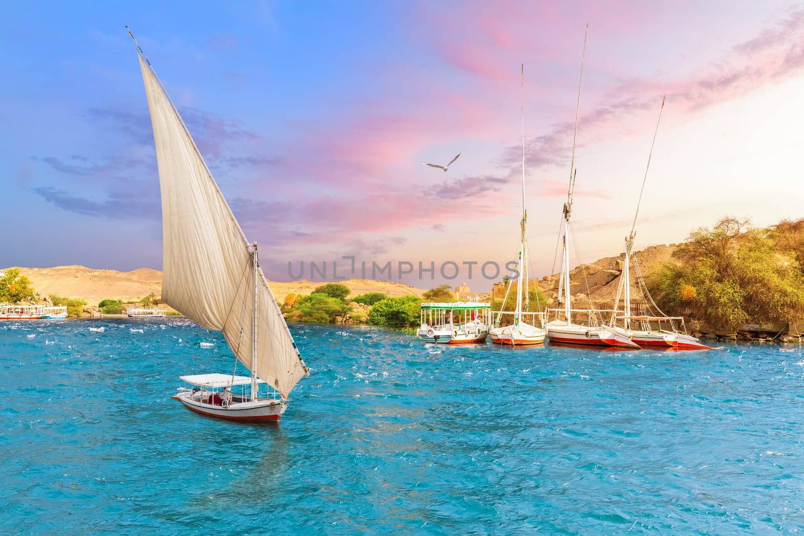 Aswan city in Egypt, beautiful scenery of the Nile river with Sailboats.