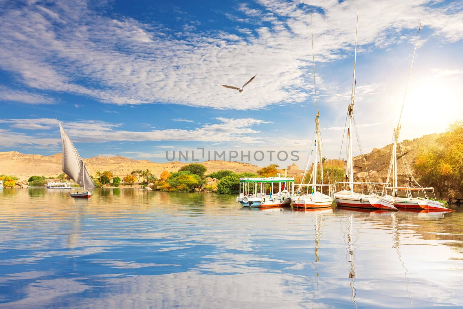 Sailboats in the Nile at sunny day, Asuan, Egypt.