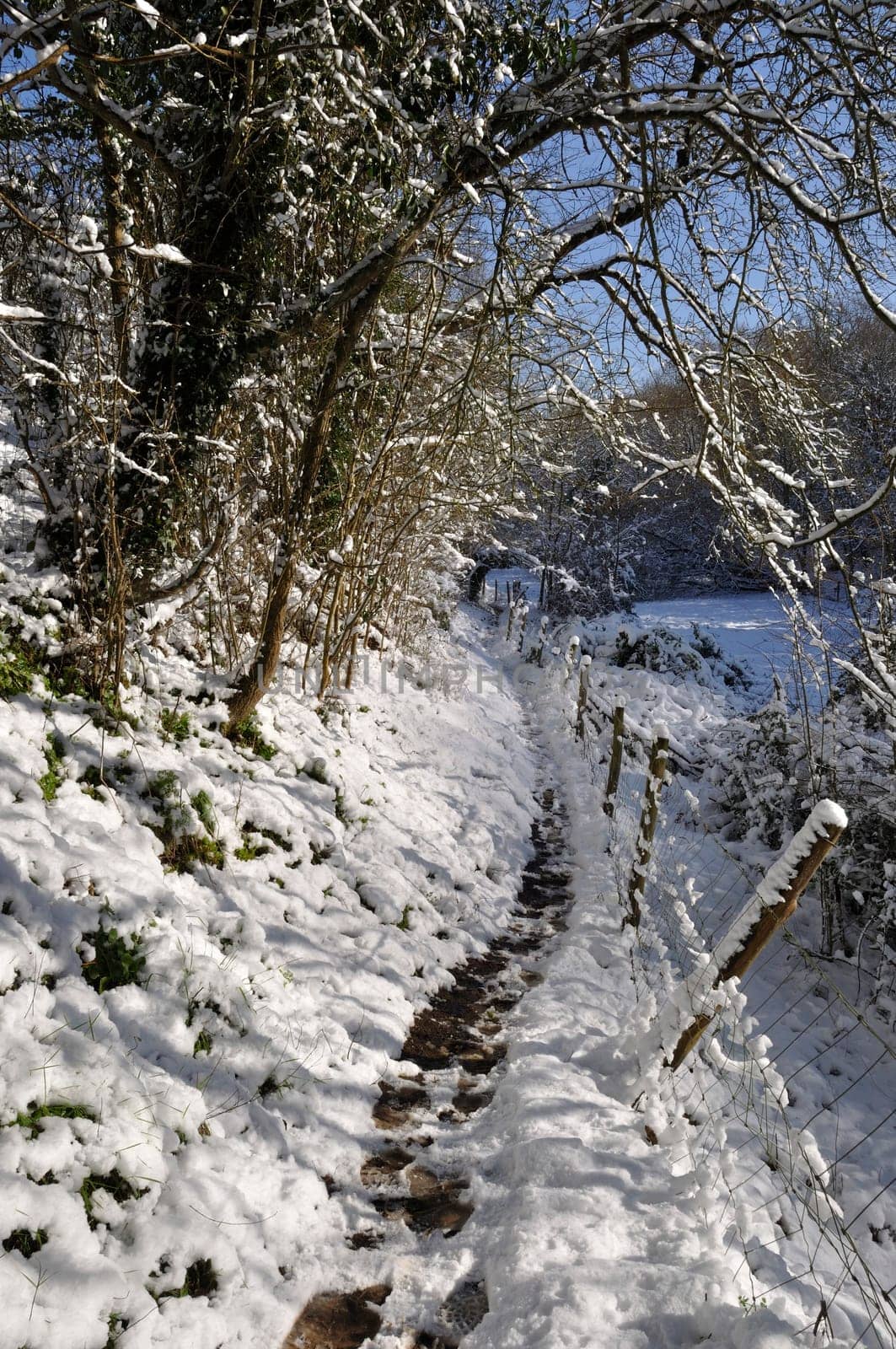 Path under the snow in Brittany