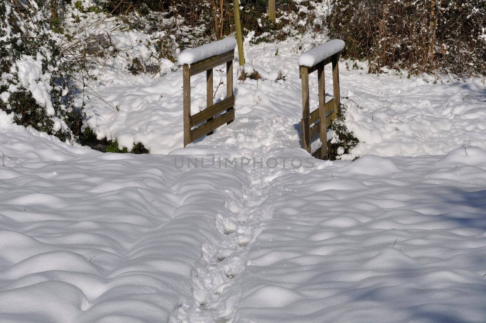 Path under the snow in Brittany