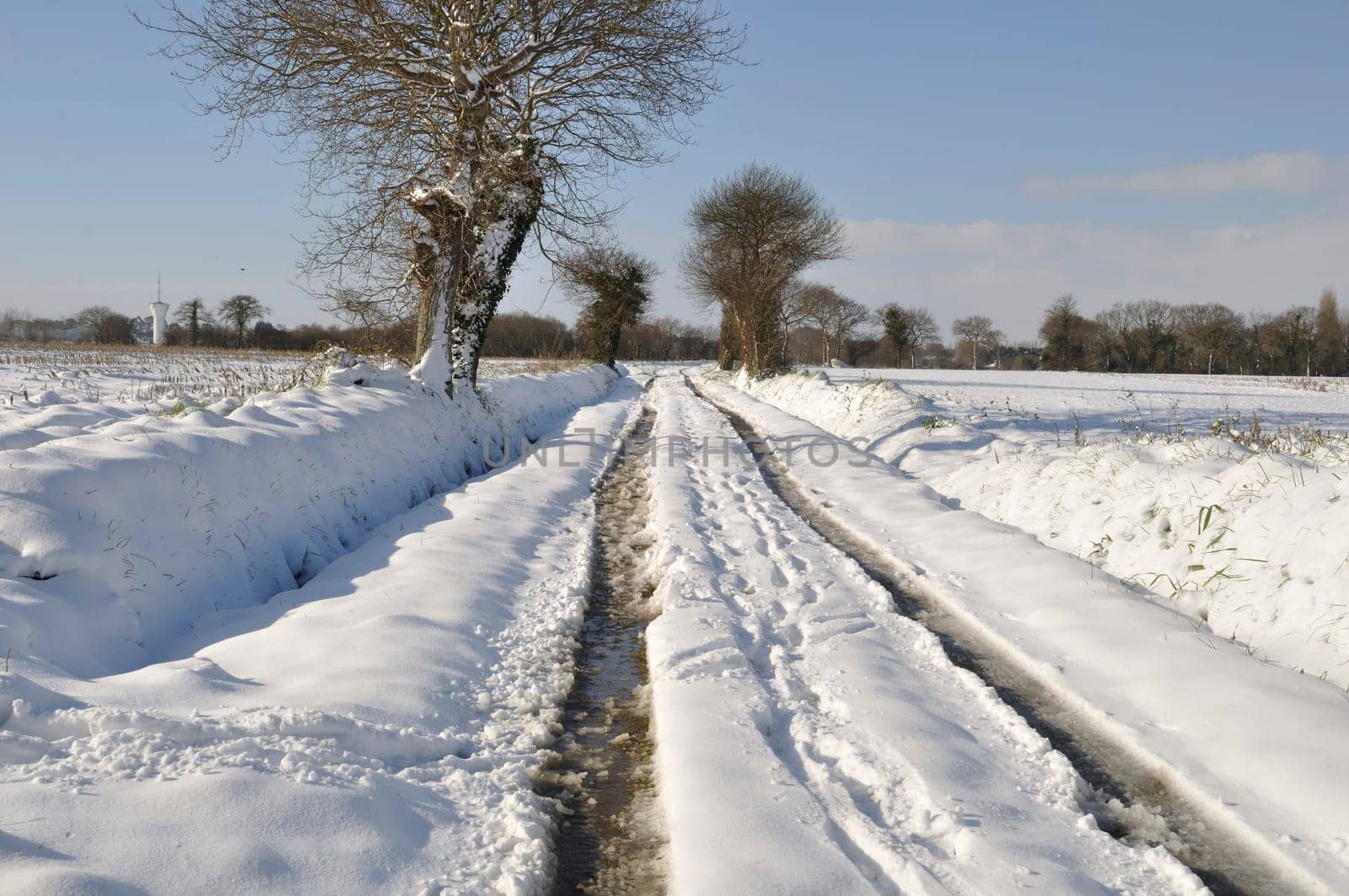 Path under the snow in Brittany
