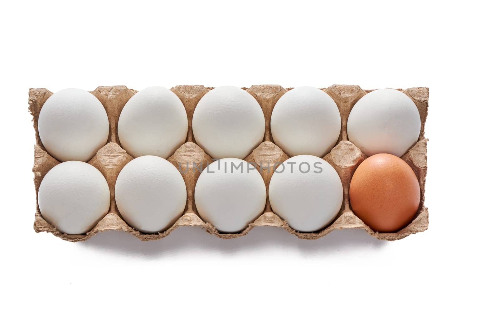 Nine white and one colored eggs on a cardboard stand on a white isolated background, copy space. High quality photo