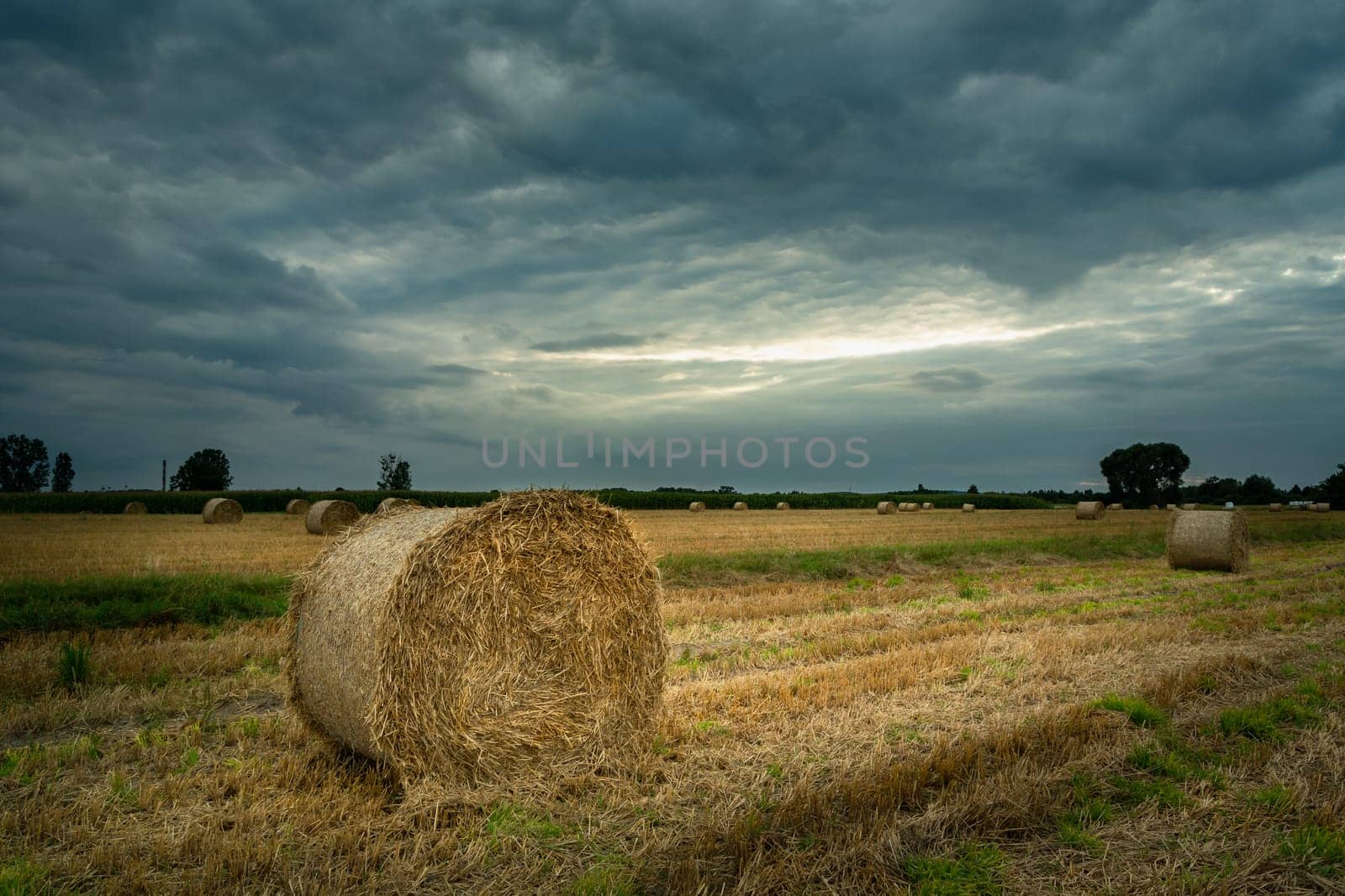 Hay bales in the field and cloudy sky, Nowiny, Lubelskie, Poland