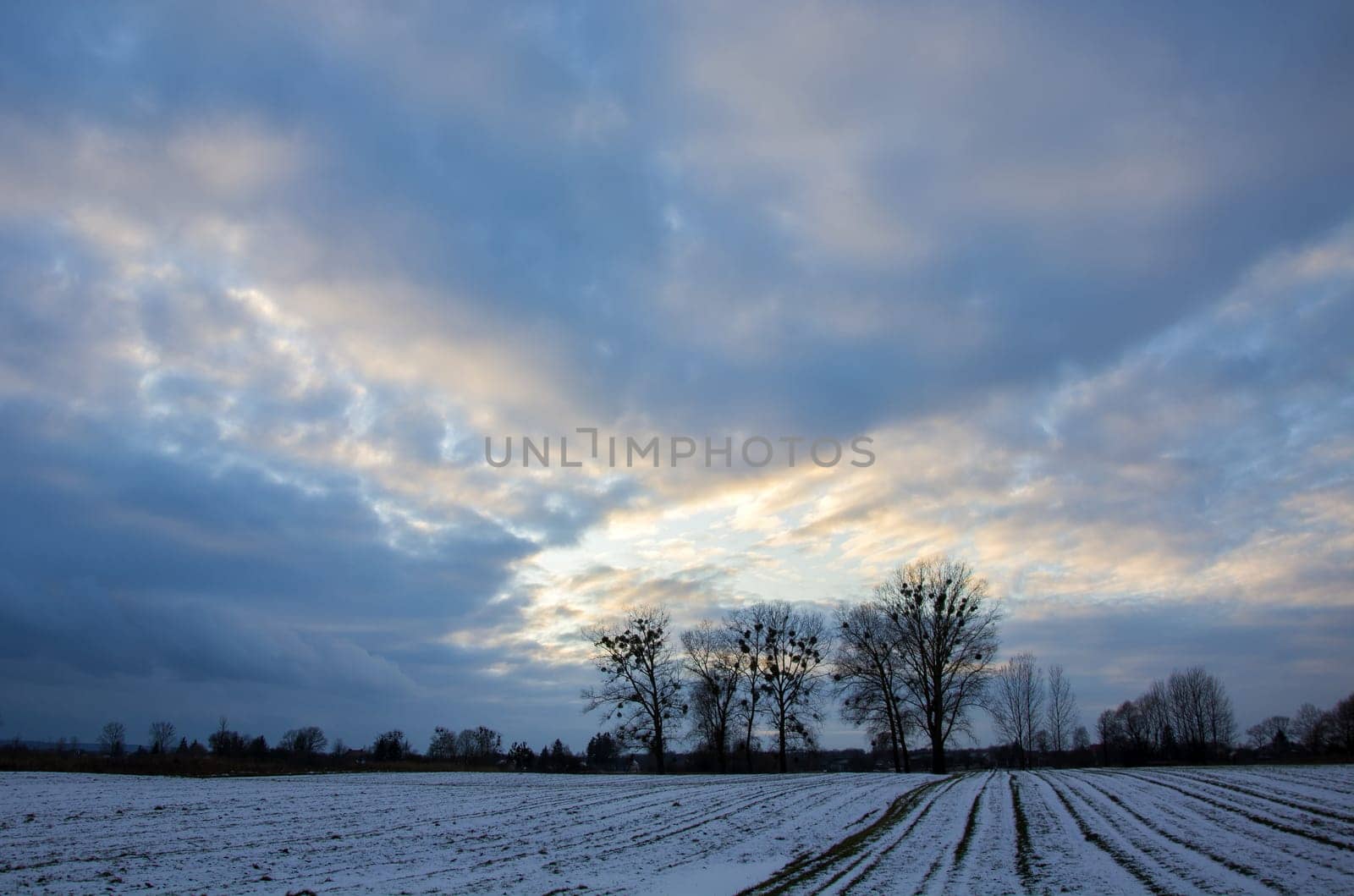 Snow on the field with trees and a landscape of clouds, Zarzecze, Poland