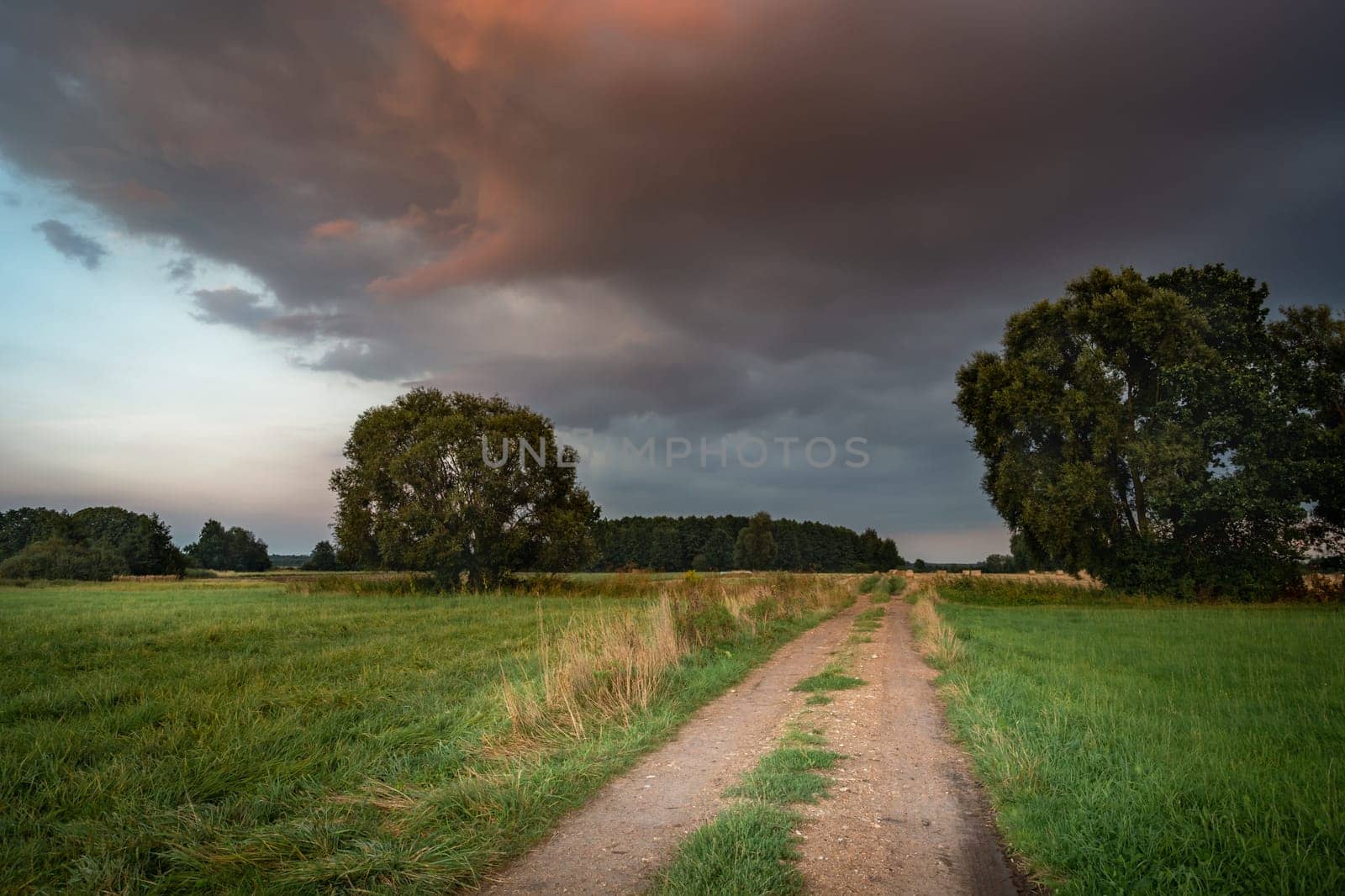 Dirt road and meadows with trees, evening clouds, Nowiny, Lubelskie, Poland