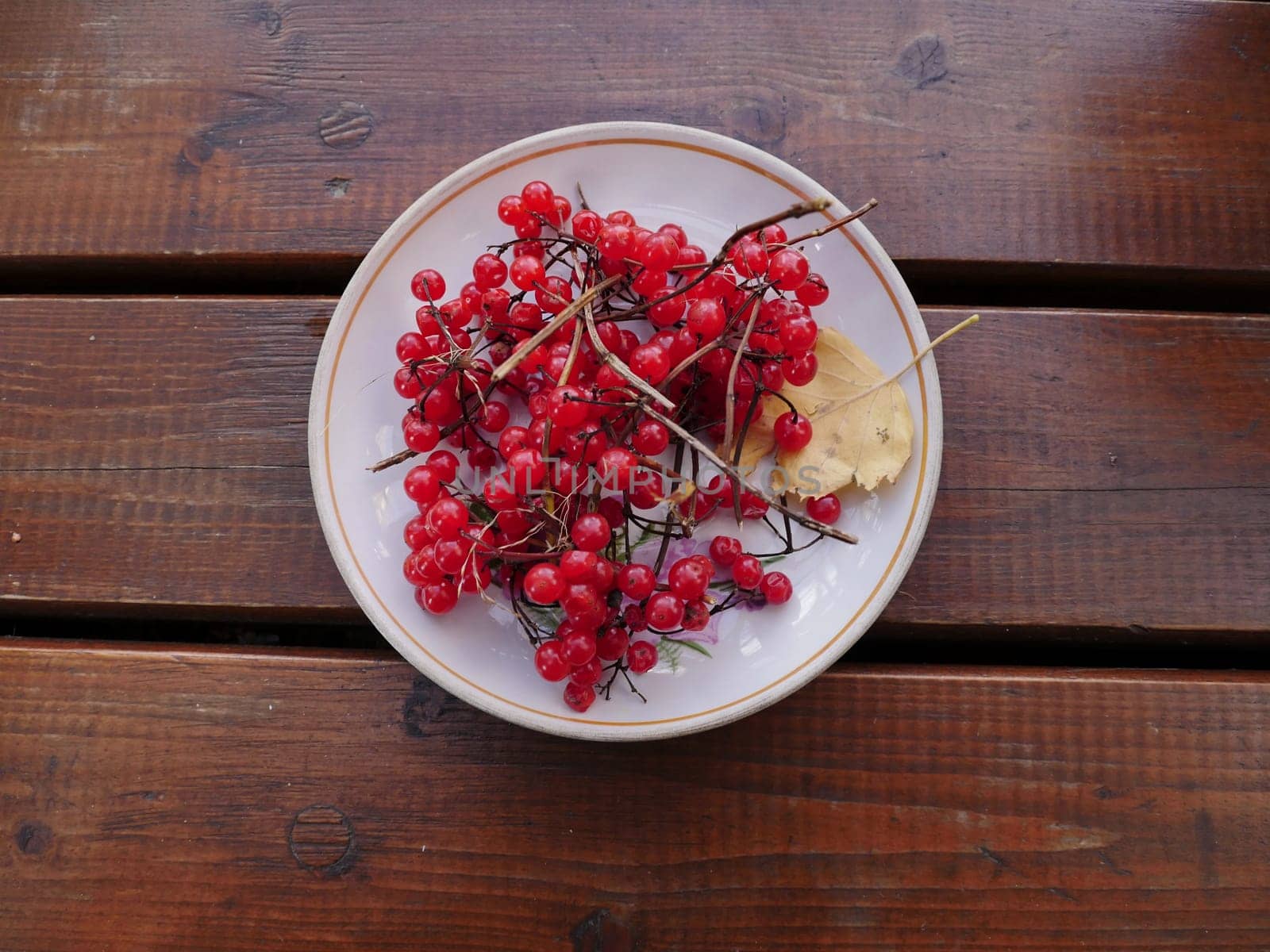 red ripe fruits of viburnum berries on a plate in autumn