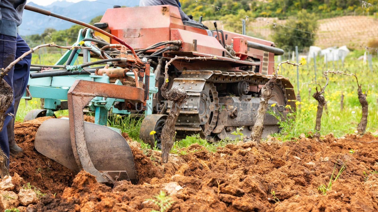Farmer drives the plow while plowing the vineyard with the crawler tractor. Agricultural industry, winery.
