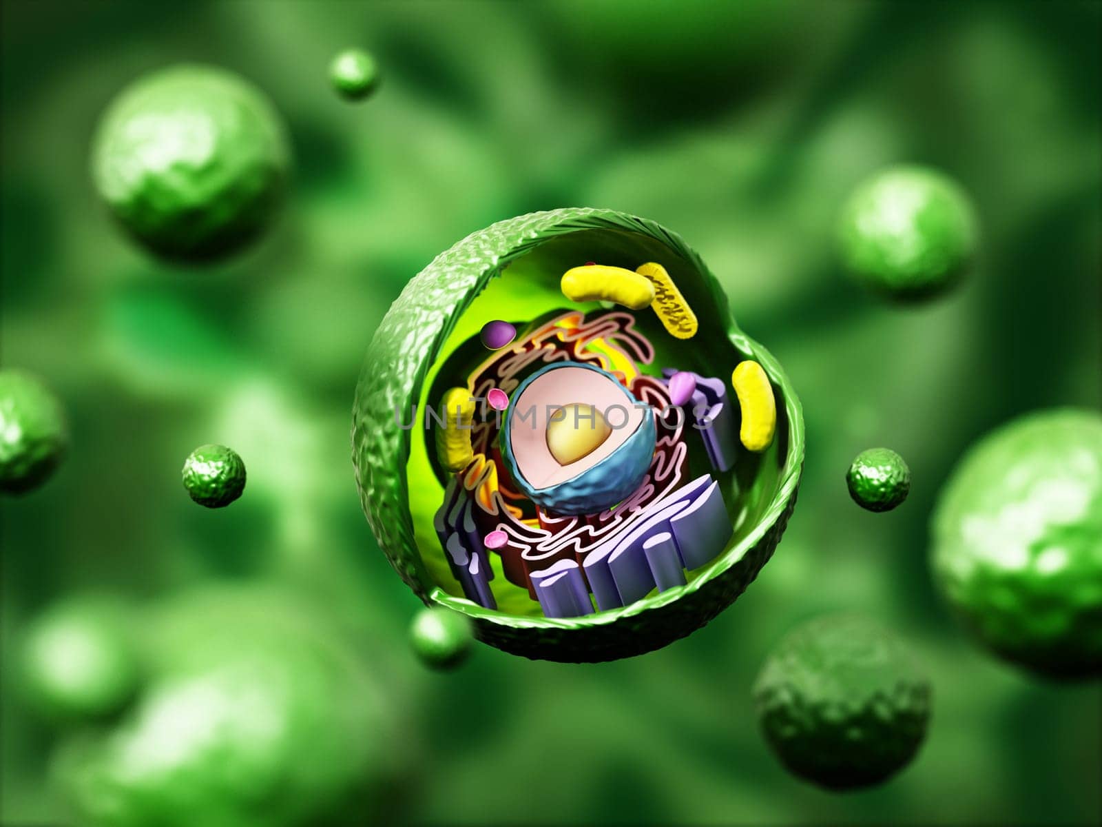 Animal cell anatomy on green background. 3D illustration.