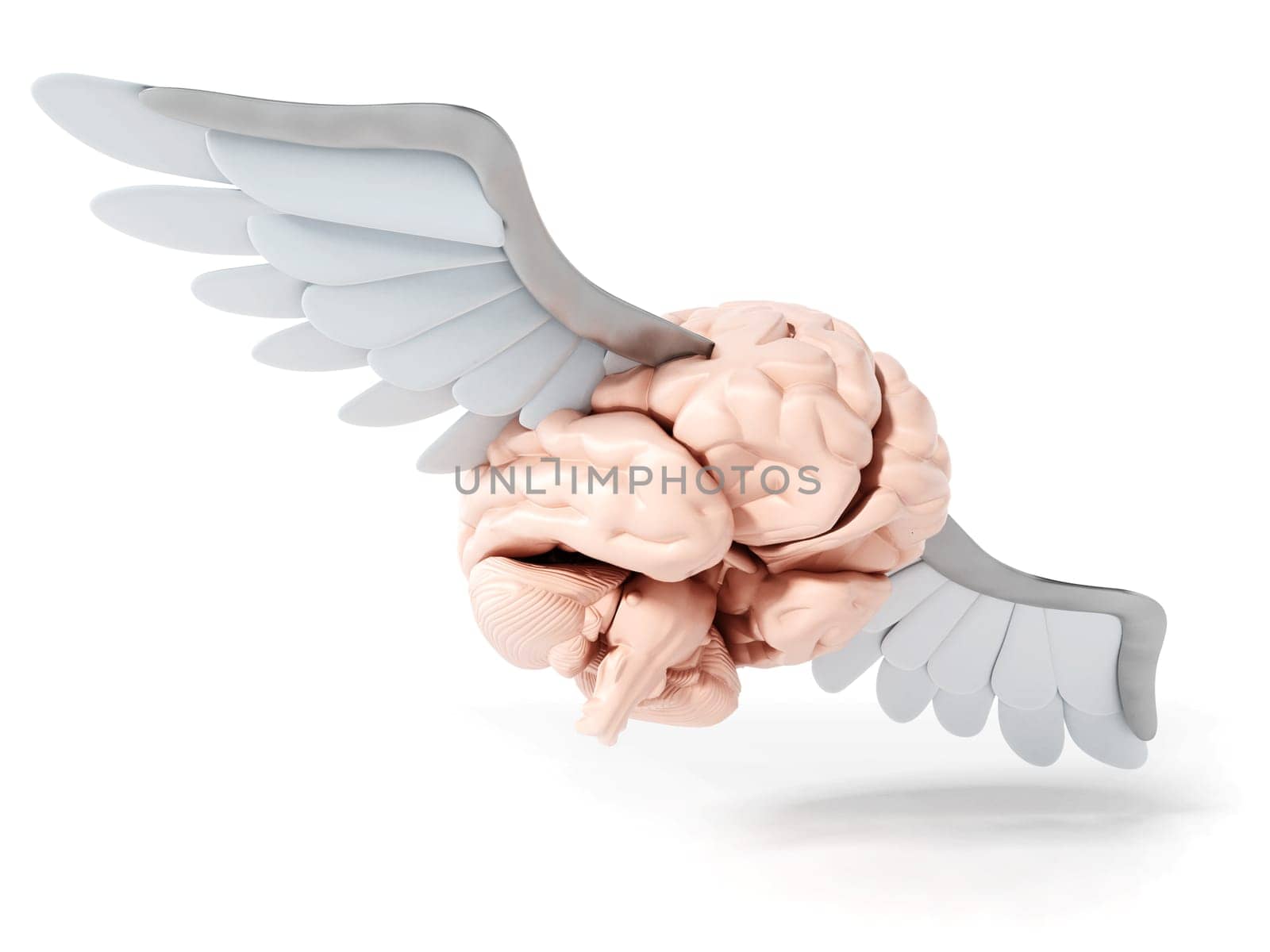 Flying brain with white wings. 3D illustration.
