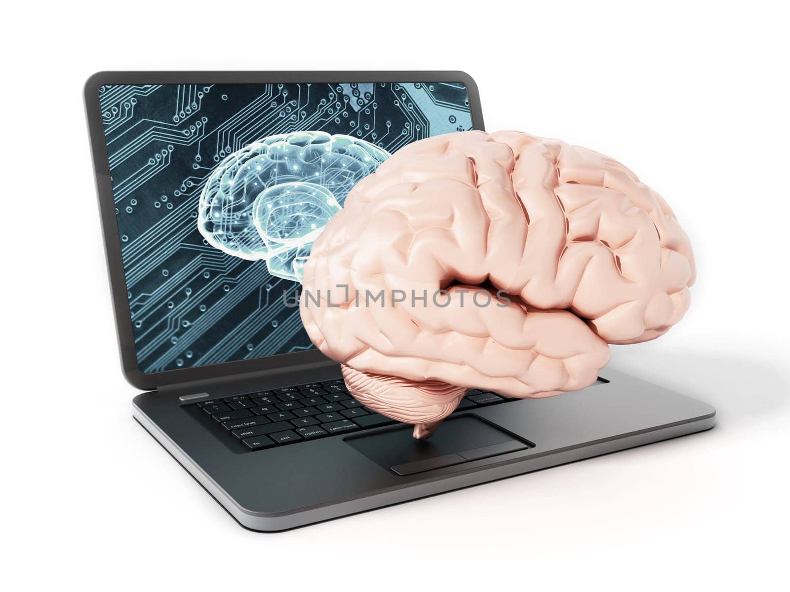 Brain standing on laptop computer keyboard. 3D illustration.