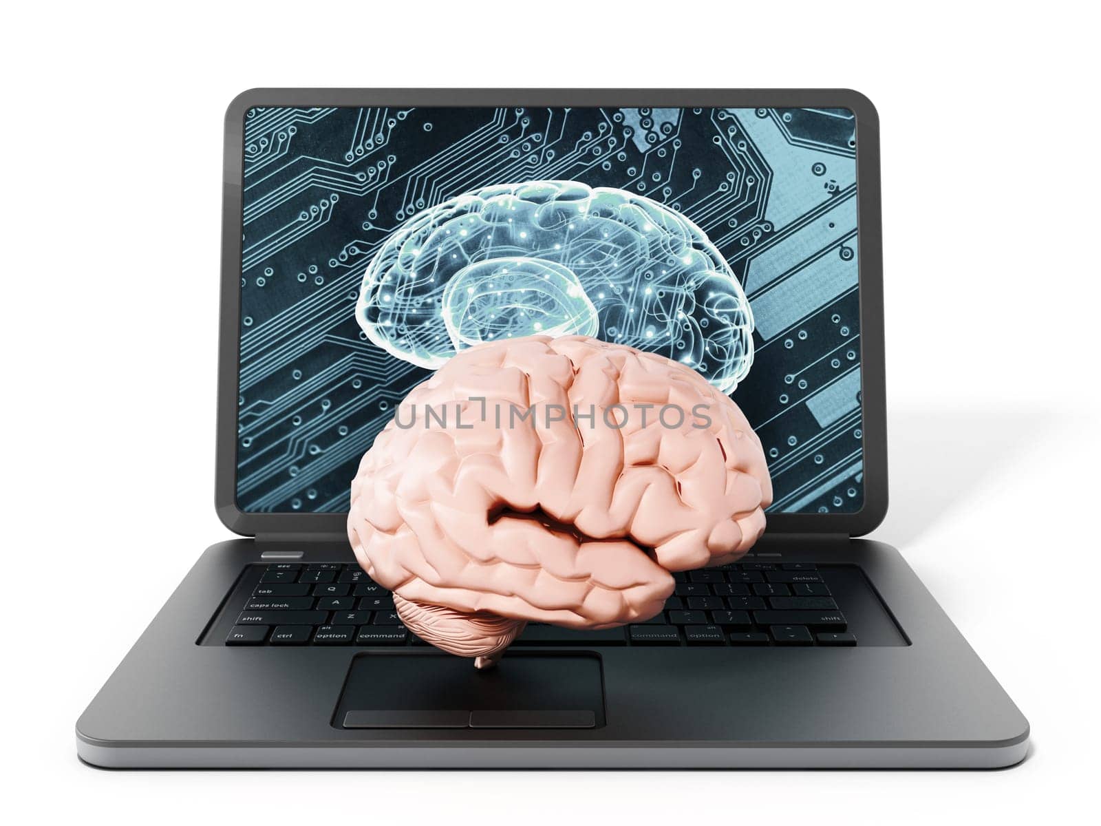 Brain standing on laptop computer keyboard. 3D illustration.
