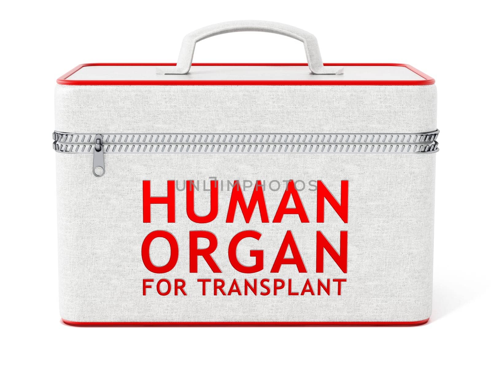 Human organ for transplant box. 3D illustration.