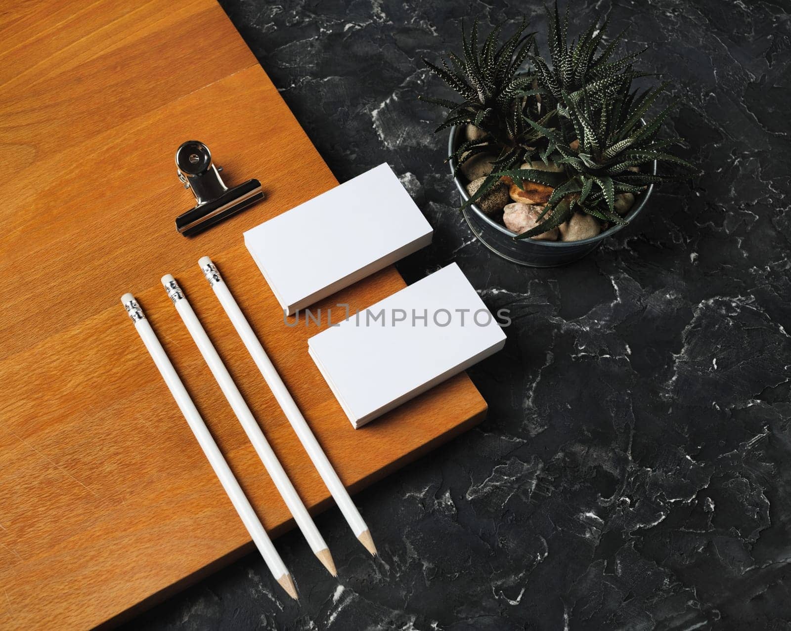 Blank corporate id template. Photo of blank business cards, pencils, succulent plant and metal clip.