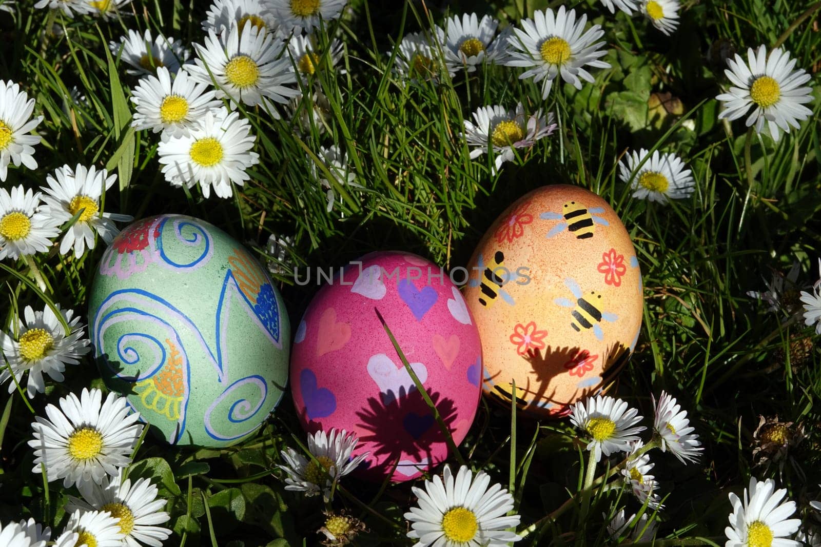 handbemalte Ostereier zwischen Gänseblümchen, Nordrhein-Westfalen, Deutschland