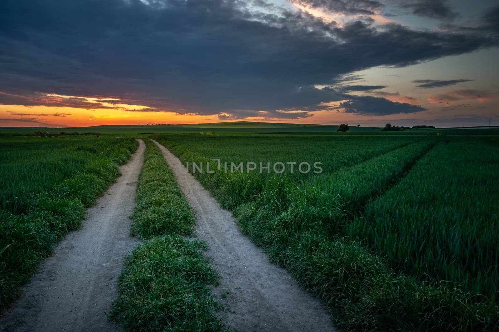 Unpaved road through green fields and sunset, Staw, Lubelskie, Poland