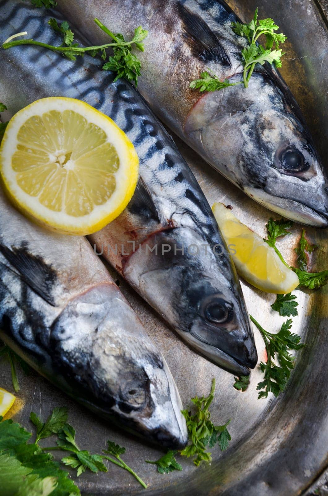 Mackerels seved on silver plate with lemon
