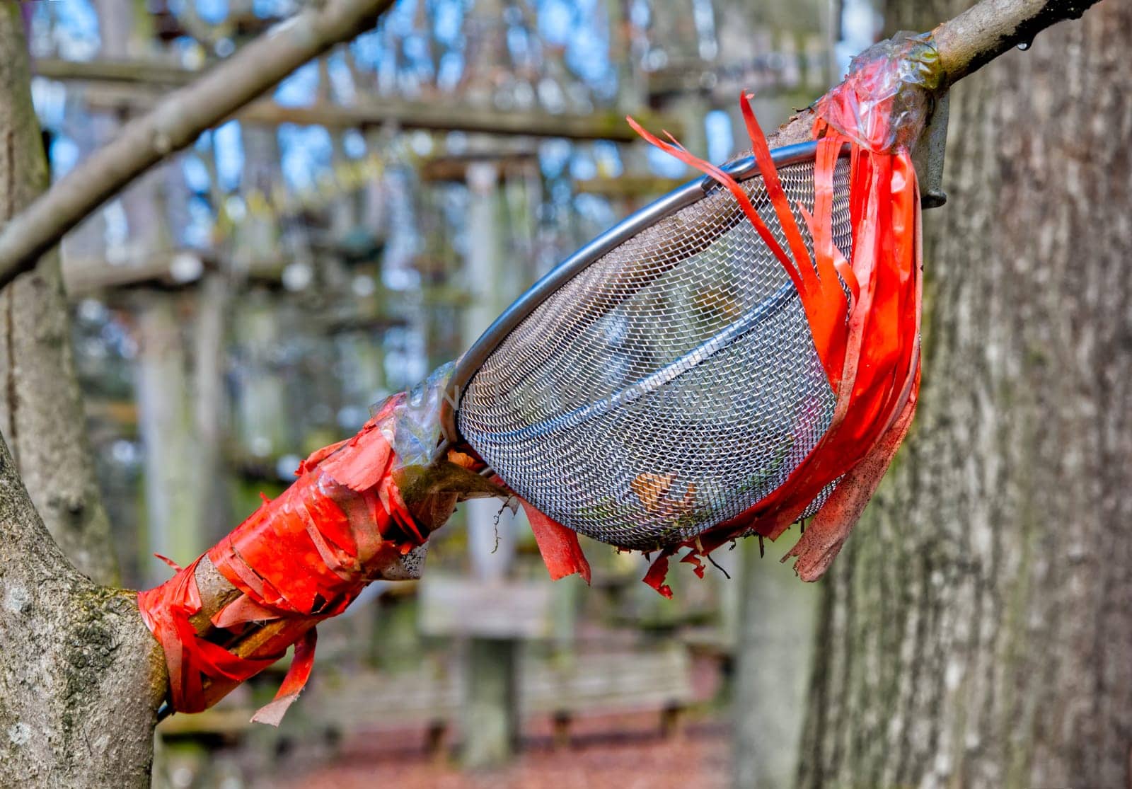 Noodle strainer converted in a play equipment, taped on a tree with red tape