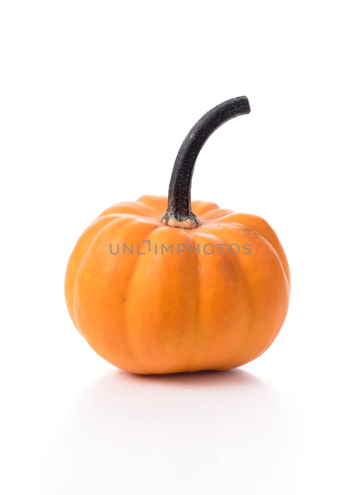 Orange pumpkin isolated over white background