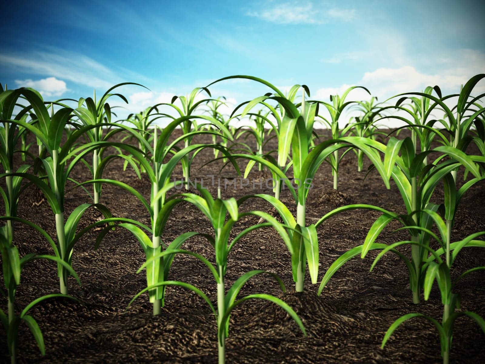 Green field with depth of field effect. 3D illustration.