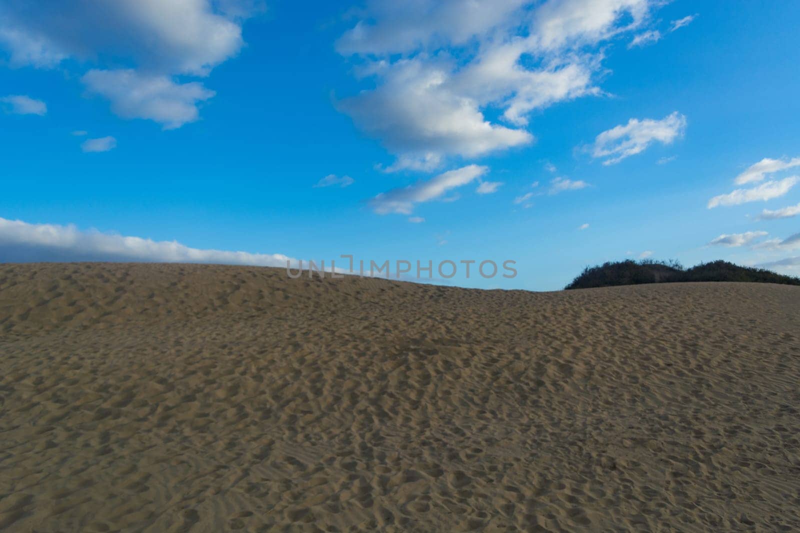 Interlocking patterns in sand - sand dunes, Maspalomas, Cran Canaria