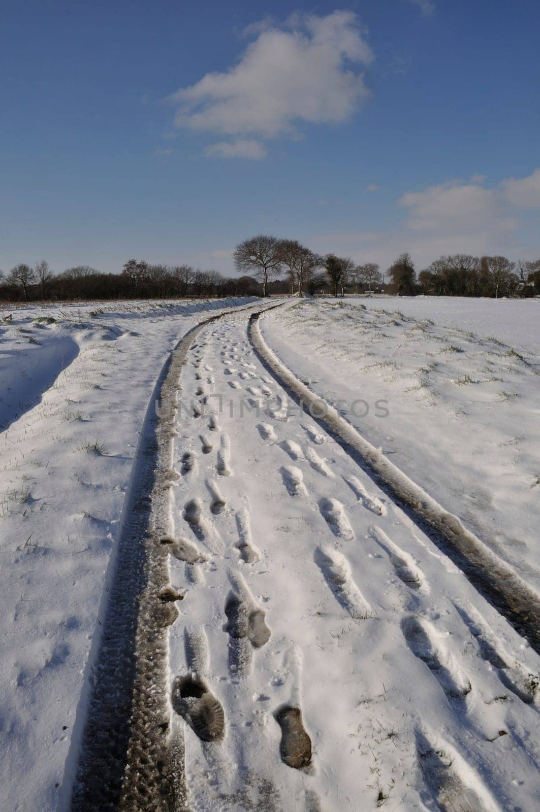 Path under the snow in Brittany
