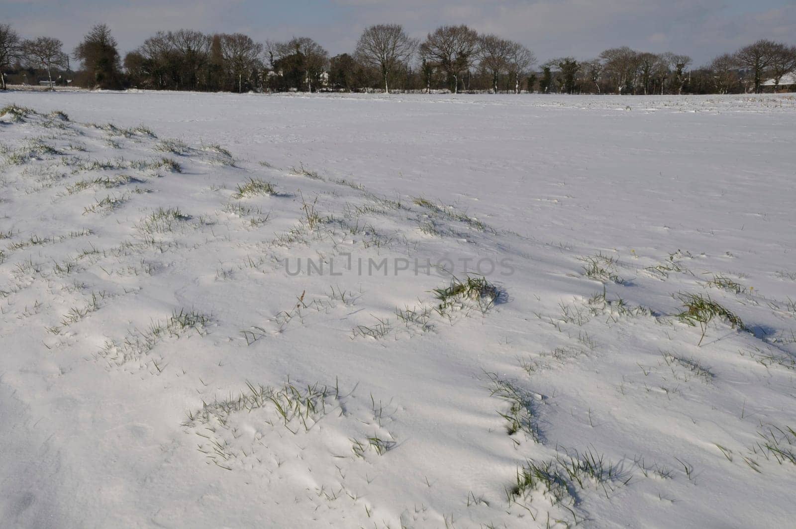 Fields under the snow in Brittany